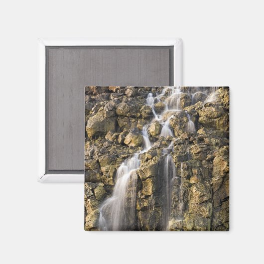Brine fällt aus vulkanischem Gestein ab Magnet (Vorderseite/Rückseite)