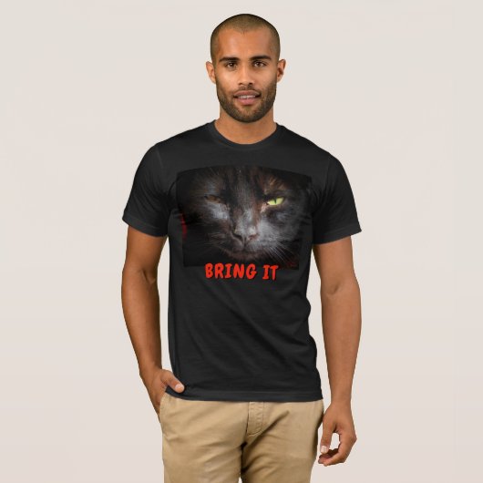 Bring it Cat Men Basic Bella Leinwand T - Shirt (Vorne ganz)
