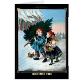 Bringen Sie die Zuhause des Baumes mit