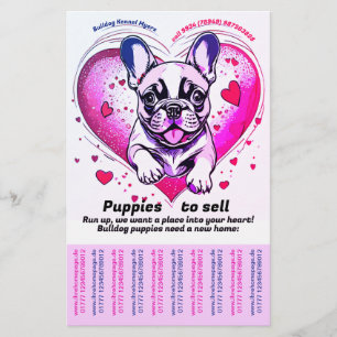 Bringen Sie einen Französischen Bulldoggen-Welpen Flyer