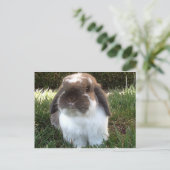 Bringen Sie etwas Wut in Ihr Leben! Postkarte (Stehend Vorderseite)