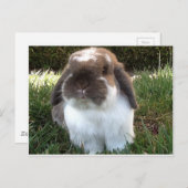 Bringen Sie etwas Wut in Ihr Leben! Postkarte (Vorne/Hinten)