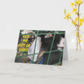 **BRINGEN SIE MICH AUS** WOLL, "GLÜCKLICH GEBURTST KARTE (Gelbe Blume)