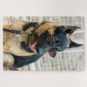 BRINQUEDO PASTOR ALEMÃO PUZZLE (Horizontal)