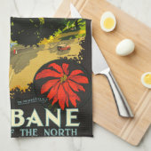 Brisbane Australia Tourism Poster Geschirrtuch (Viertel Falte)