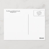 Brisbane Postkarte (Rückseite)