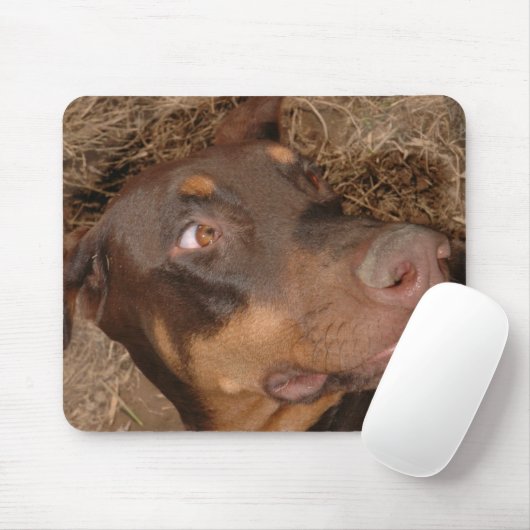 Brisbee Lee Mousepad (Mit Mouse)