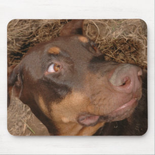 Brisbee Lee Mousepad