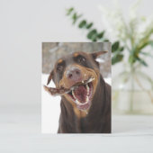 Brisbeestick Postkarte (Stehend Vorderseite)