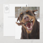 Brisbeestick Postkarte (Vorne/Hinten)