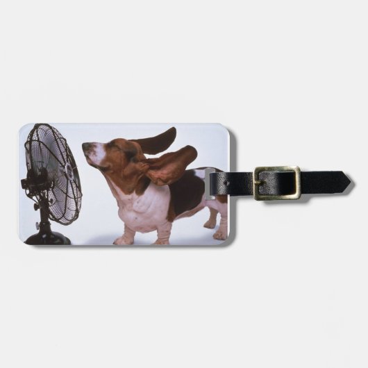 Brise - Hund und Fan Gepäckanhänger (Vorderseite horizontal)