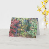 Brister's Hill, Concord MA Karte (Gelbe Blume)