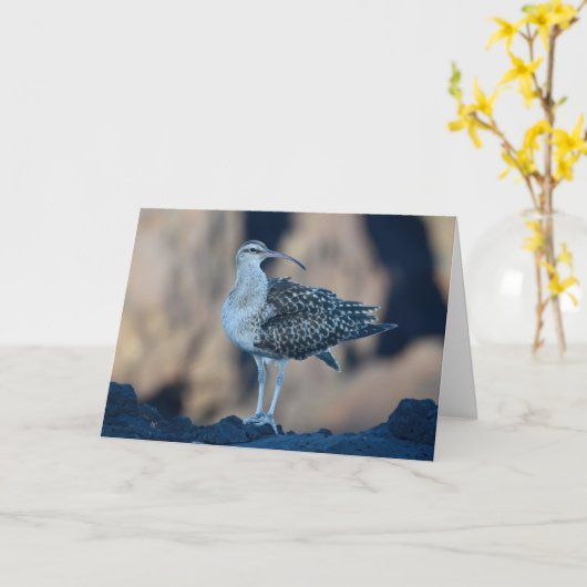 Bristle-thighed Curlew Karte (Gelbe Blume)