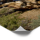 Bristlecone-Kiefer im antiken Bristlecone-Wald, Poster (Ecke)