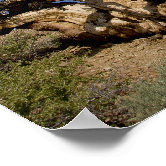 Bristlecone-Kiefer im antiken Bristlecone-Wald, Poster (Ecke)