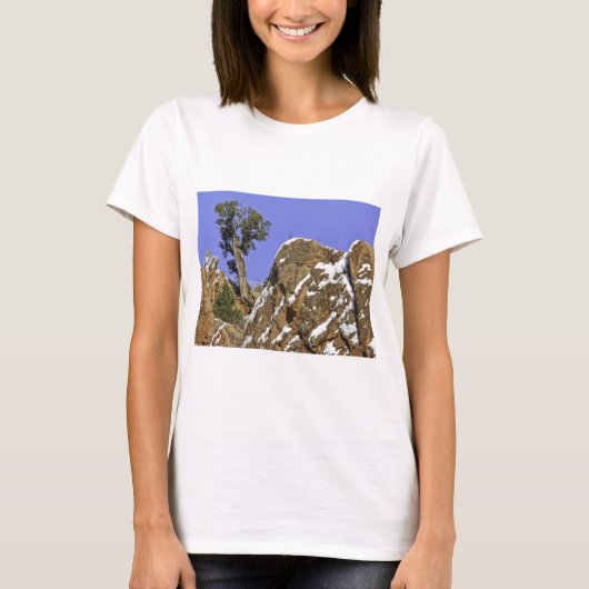 Bristlecone Kiefer T-Shirt (Vorderseite)