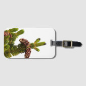 Bristlecone Pine Gepäckanhänger (Vorderseite (Horizontal))