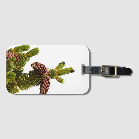 Bristlecone Pine Gepäckanhänger (Vorderseite (Horizontal))
