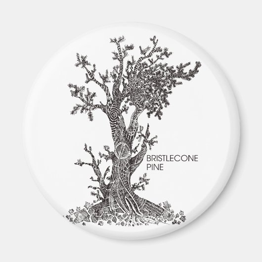 Bristlecone Pine Magnet (Vorne)
