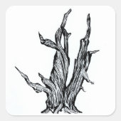 Bristlecone Pine Quadratischer Aufkleber (Vorderseite)
