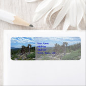 Bristlecone Pine Tree (Insitu)