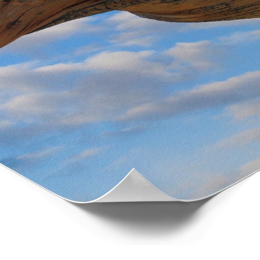 Bristlecone Pine Tree Poster (Ecke)