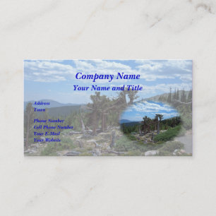 Bristlecone Pine Tree Visitenkarte