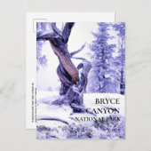 Bristlecone Pine Winter Schnee Postkarte (Vorne/Hinten)