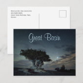 Bristlecone-Silhouette gegen Starry Sky Postkarte (Vorne/Hinten)