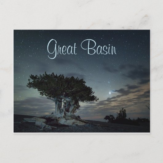 Bristlecone-Silhouette gegen Starry Sky Postkarte (Vorderseite)