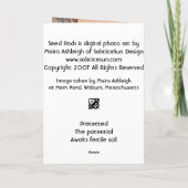 Bristly Locust Seed Pods Karte (Rückseite)