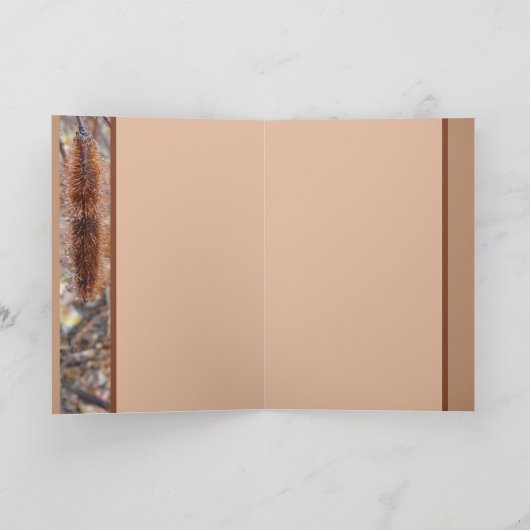 Bristly Locust Seed Pods Karte (Innenseite)