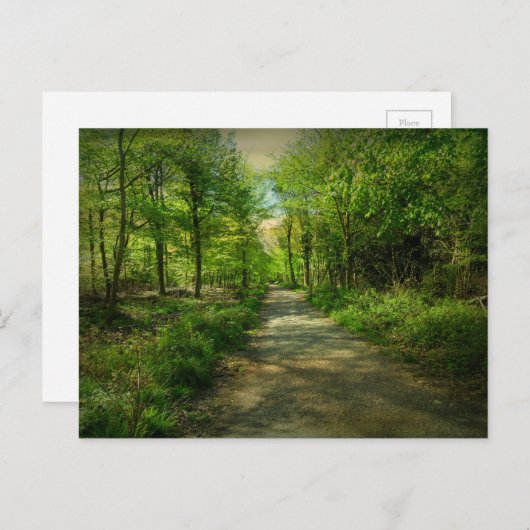 Bristol Avon Forest im Frühling. Postkarte (Vorne/Hinten)