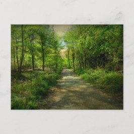 Bristol Avon Forest im Frühling. Postkarte