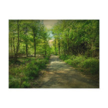 Bristol Avon Forest im Frühling.