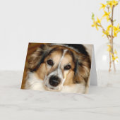 Bristol Karte (Gelbe Blume)