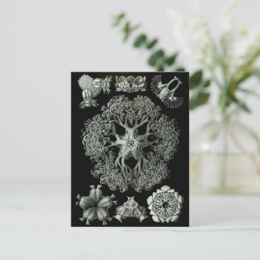 Brite Sterne Postkarte (Stehend Vorderseite)