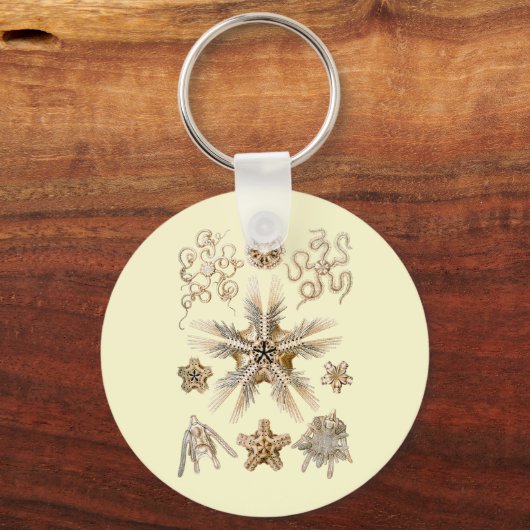 Brite Sterne Schlüsselanhänger (Vorderseite)