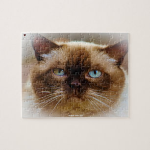 Britisch Kurzhaar Katze Puzzle