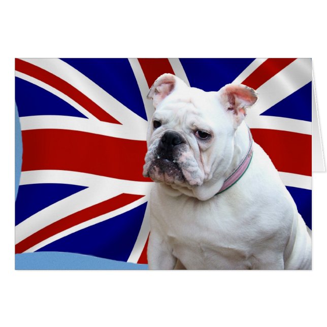 Britische Bulldogge (Vorderseite (Horizontal))