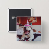 Britische Bulldogge Getty Bild-| Button (Vorne & Hinten)