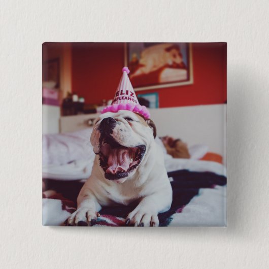 Britische Bulldogge Getty Bild-| Button (Vorderseite)
