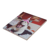 Britische Bulldogge Getty Bild-| Fliese (Seite)