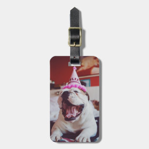 Britische Bulldogge Getty Bild- Gepäckanhänger