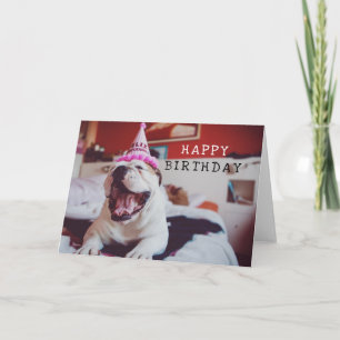 Britische Bulldogge Getty Bild-  Karte