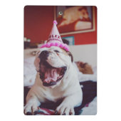 Britische Bulldogge Getty Bild-| Mini Klemmbrett (Rückseite)