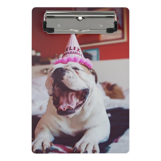 Britische Bulldogge Getty Bild-| Mini Klemmbrett (Vorderseite)