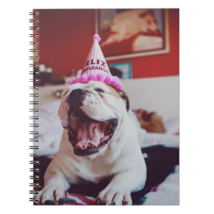 Britische Bulldogge Getty Bild-  Notizblock