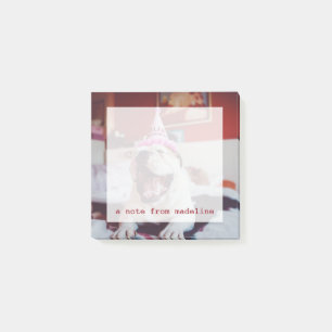 Britische Bulldogge Getty Bild-  Post-it Klebezettel