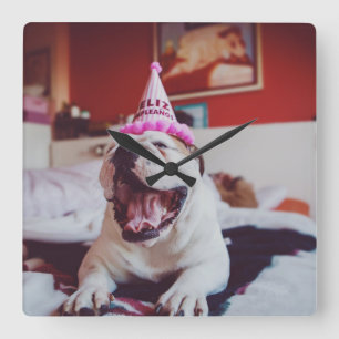 Britische Bulldogge Getty Bild-  Quadratische Wanduhr